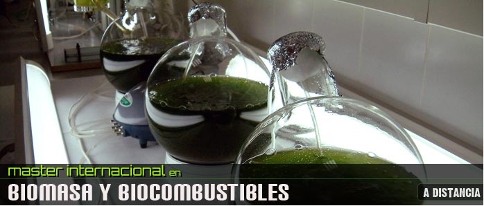 M&aacute;ster Internacional en Biomasa y Combustibles