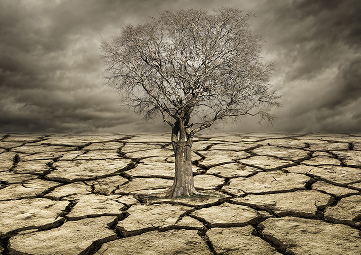 El cambio climático es uno de los principales retos ambientales y sociales a los que se enfrenta la humanidad